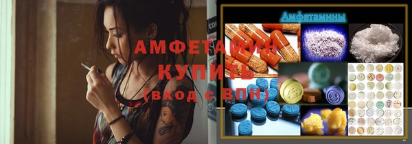 хмурый Алексин