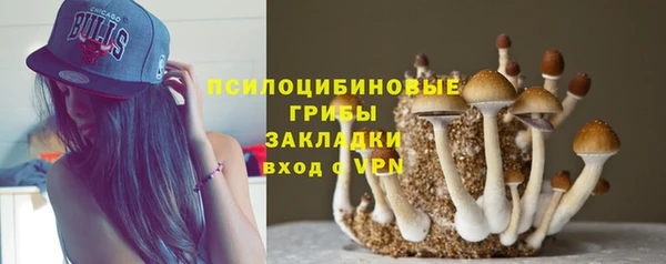 трава Кинешма