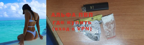 хмурый Алексин