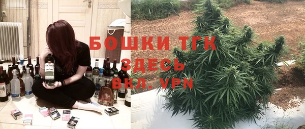 хмурый Алексин