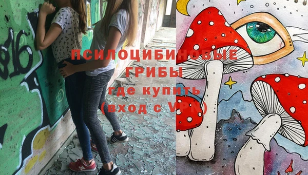 хмурый Алексин