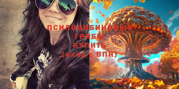 MDMA Premium VHQ Алзамай