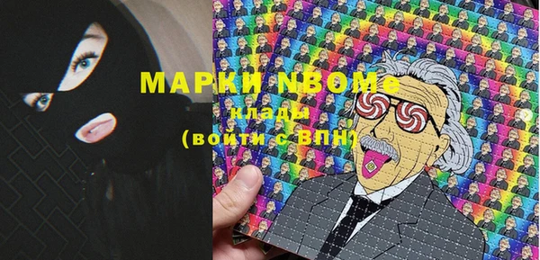 хмурый Алексин